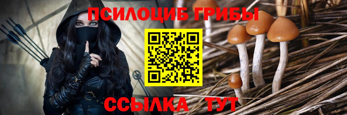 купить наркотик  Псилоцибиновые грибы MAGIC MUSHROOMS  Ангарск  Вход с VPN  Псилоцибиновые грибы GOLDEN TEACHER 