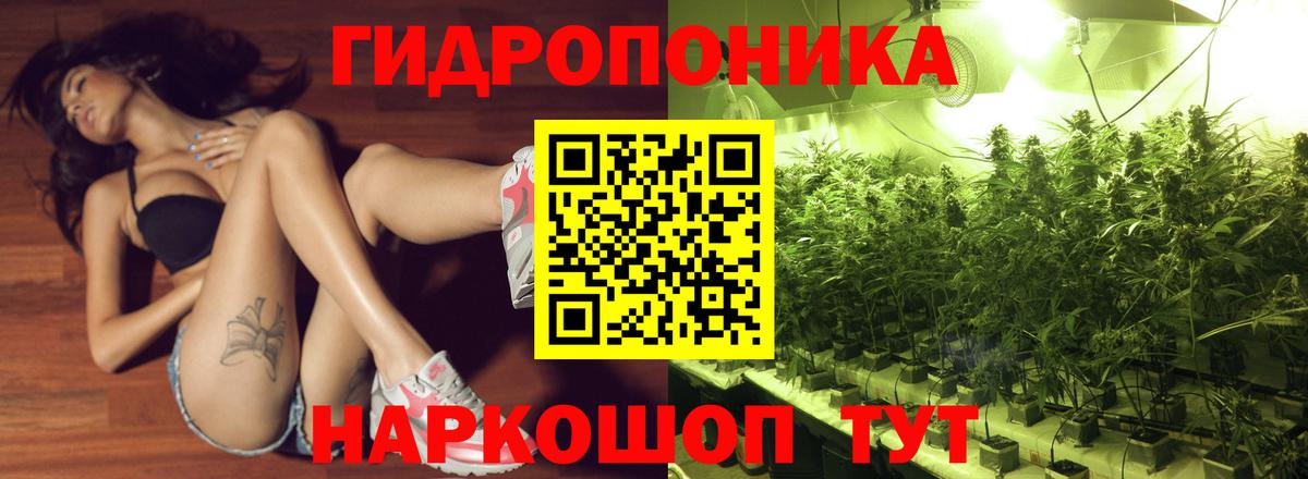 Бошки марихуана конопля Ангарск